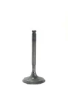 Kawasaki Mule New Oem Intake Valve 12004-2115. Fixed Price $19.99.