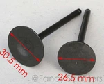 Intake And Exhaust Valves For Cfmoto 250CC Water Cool Engine. Fixed Price $14.99.