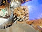 1972 ?suzuki Ts 125 Cylinder Head. Fixed Price $24.99.