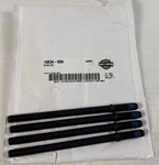 New Harley Davidson Genuine Cylinder Base Studs Qty 16834-99A. Fixed Price $61.75.