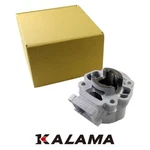 Engine Rebuild Part 44.5MM Cylinder For Kawasaki 2002 2021 11005-1973. Fixed Price $275.50.