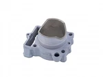Kawasaki Genuine Cylinder-engine 11005-0717. Fixed Price $422.91.