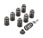 Genuine Harley-davidson Screamin' Eagle Performance Valve Spring Kit 18100080. Fixed Price $335.05.