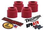 Kibblewhite Viton Valve Stem Seals Head Rebuild Norton 750 850 Kpmi 71012-4 Pack. Fixed Price $14.98.