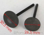 Intake And Exhaust Valves For Cfmoto 250CC Water Cool Engine. Fixed Price $14.99.