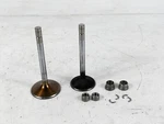 Ducati Monster S2R 800 Intake Exhaust Valves Kit. Fixed Price $24.99.