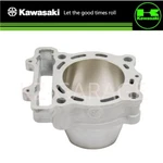 Kawasaki Genuine Cylinder KX250X 11005-0717 New. Fixed Price $319.63.