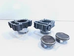 2015-2022 Indian Scout 1200 Bobber & Rogue Engine Motor Cylinders Jugs Pistons. Fixed Price $249.99.