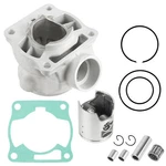 Cylinder Piston Ring For Yamaha 4ES-11311-30-00 4ES-11311-20-00 Bore 47.5MM. Fixed Price $70.00.