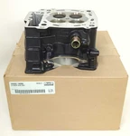 New Oem Genuine Buell Cylinder Head 2008-2010 1125R 1125CR 6623131 V0002.1AMA. Fixed Price $225.00.